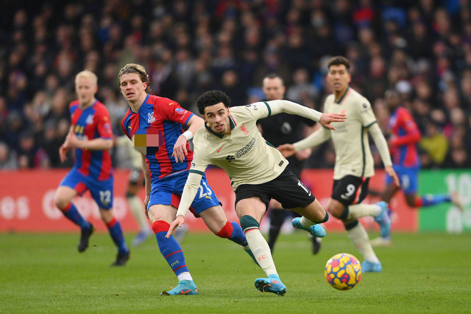 职业俱乐部 职业俱乐部